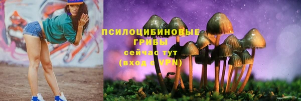 тгк Заволжск