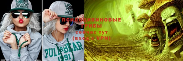 тгк Заволжск