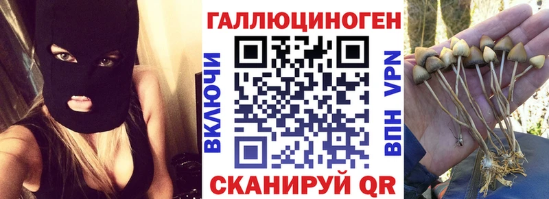 Купить  Злынка  Псилоцибиновые грибы мухоморы 